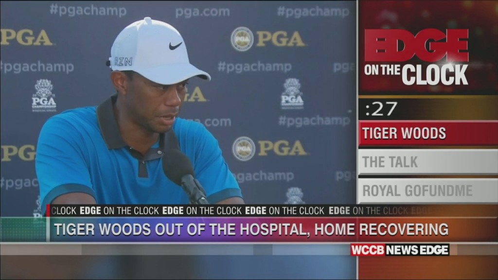 Tiger Out Of Hospital