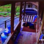 Caldwell Dog Killed Suspect Van 1