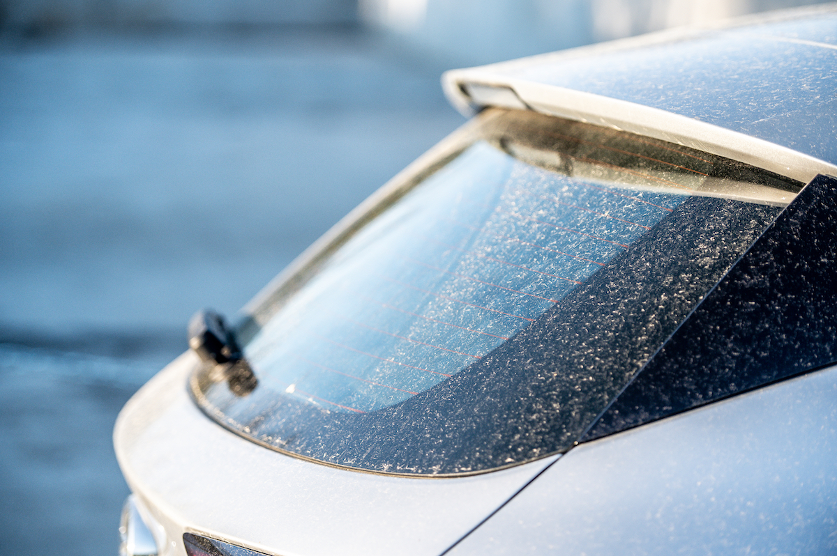 Car Detailing WCCB Charlotte's CW