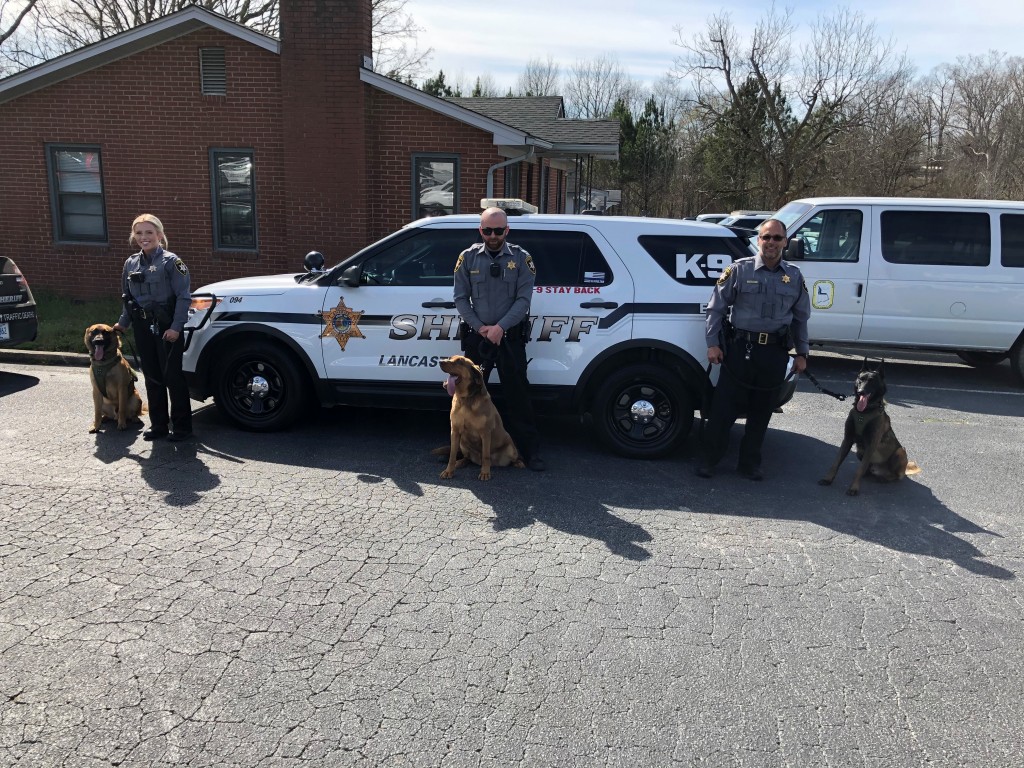 Photo K 9s 1