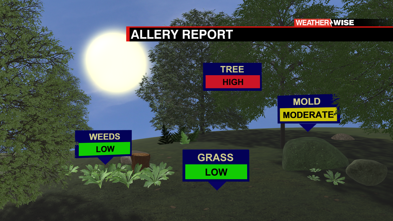 Tree Pollen on The Rise WCCB Charlotte's CW