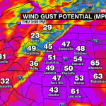 Wind Gust Potential Euro
