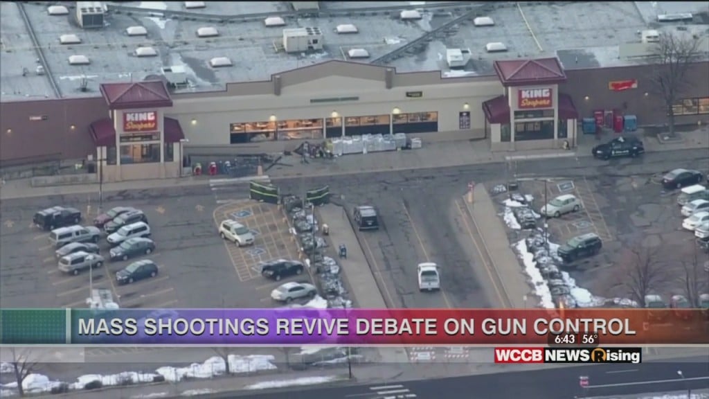 Mary C. Curtis: Mass Shootings Revive Debate On Gun Control