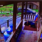 Caldwell Dog Killed Suspect Van 2