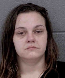 Wendy Laney Breaking Or Entering Misdemeanor