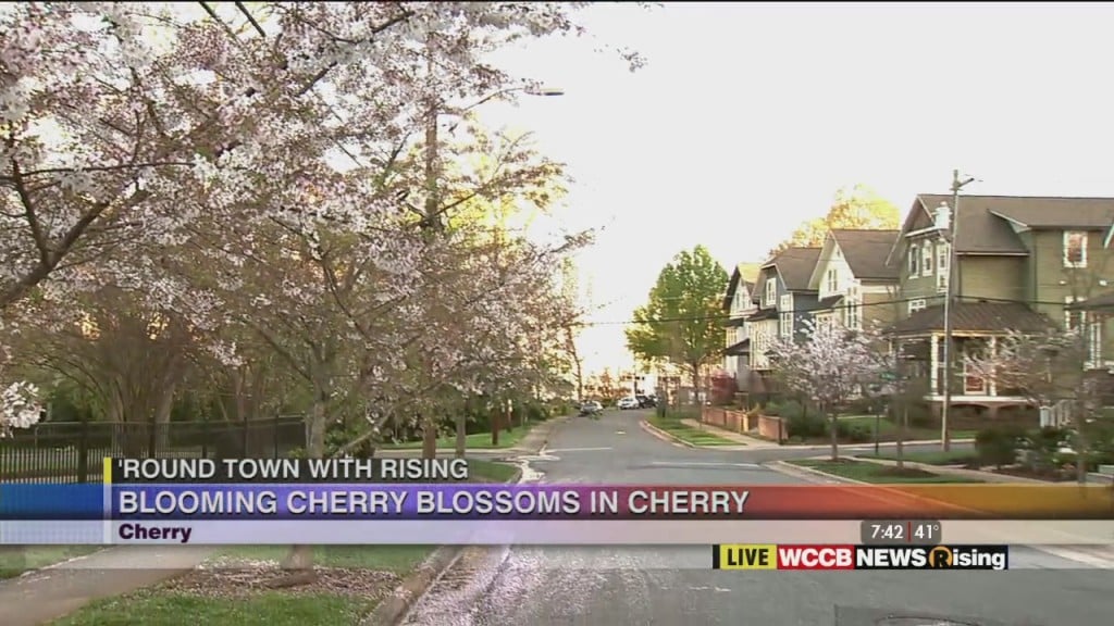 'round Town With Rising: Cherry
