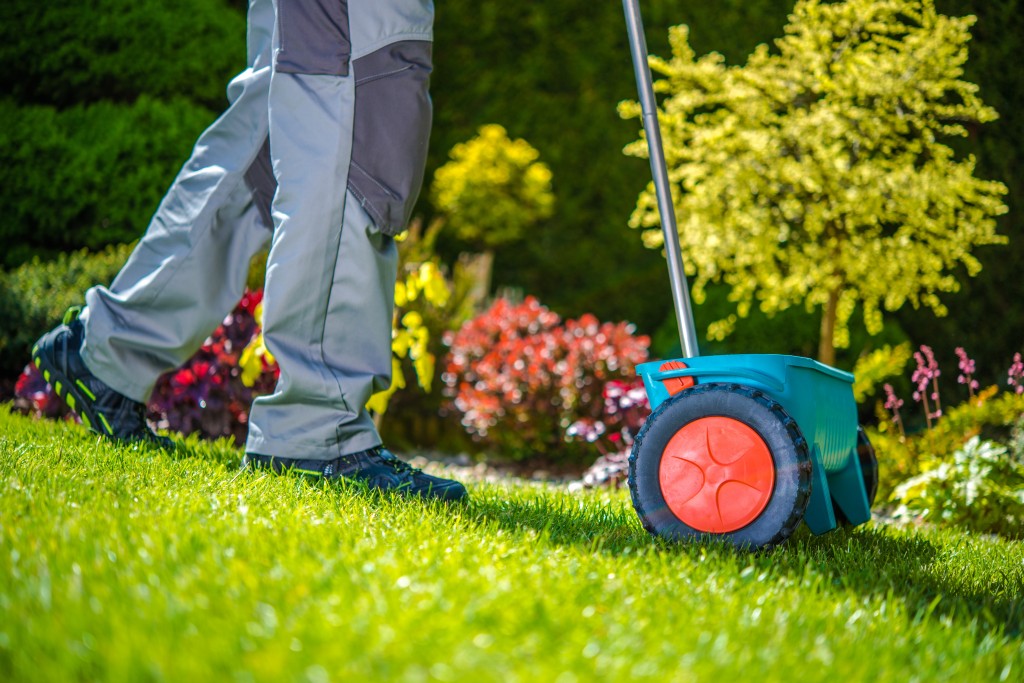 Grass Sowing In The Garden