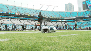 Panthers are switching to artificial turf at Bank of America Stadium - Cat  Scratch Reader