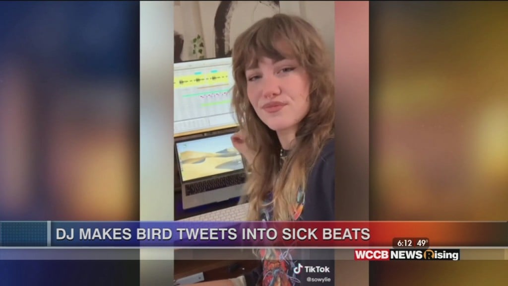Viral Videos:dj Turns Bird Tweets Into Sick Beats And A Little Girl Dances With Band