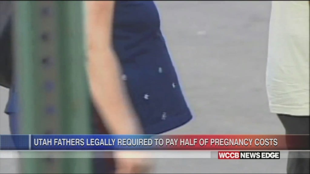 New Law Requires Biological Fathers To Be Legally Obligated To Pay Half Of Pregnancy Costs