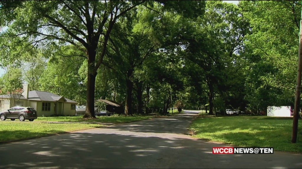 East Charlotte Residents Call On Elected Leaders To Do More To Protect The City’s Tree Canopy
