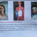 Taylor Falls Missing Flyer