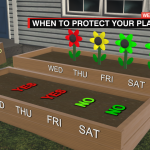 Protect Your Plants