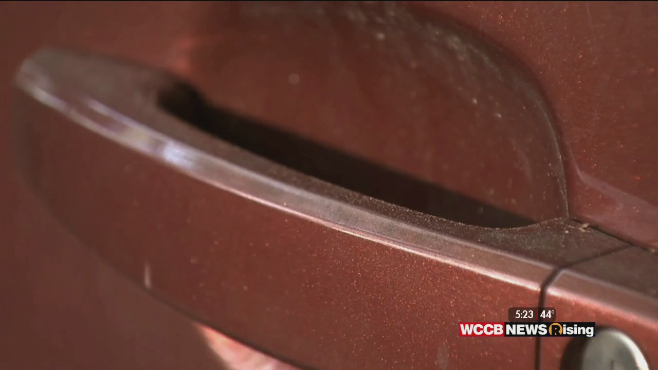 Pollen Season Facts and Tips - WCCB Charlotte's CW - Vimarsana News