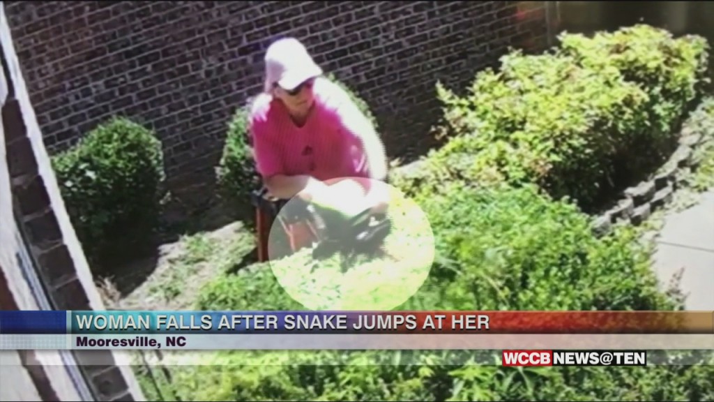 Woman Injured After Encounter With Snake