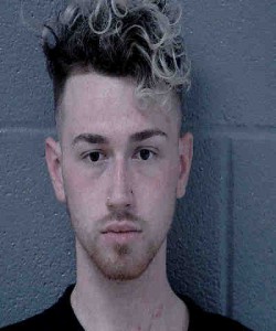 Isaac Hardy 3 Counts Of Break Or Enter A Motor Vehicle Larceny Of A Firearm Resisting Public Officer