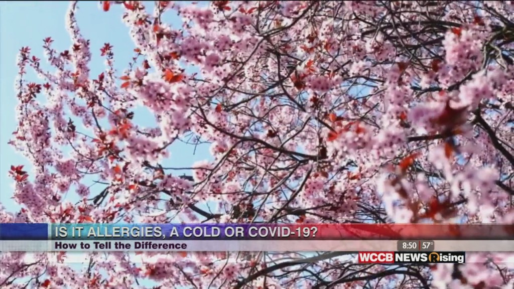Healthy Headlines: Is It Allergies, A Cold Or Covid 19? How To Tell The Difference