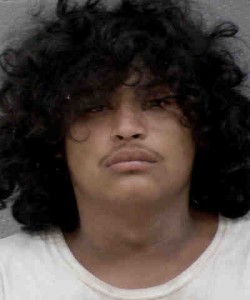 Emanuel Ortiz Break Or Enter A Motor Vehicle