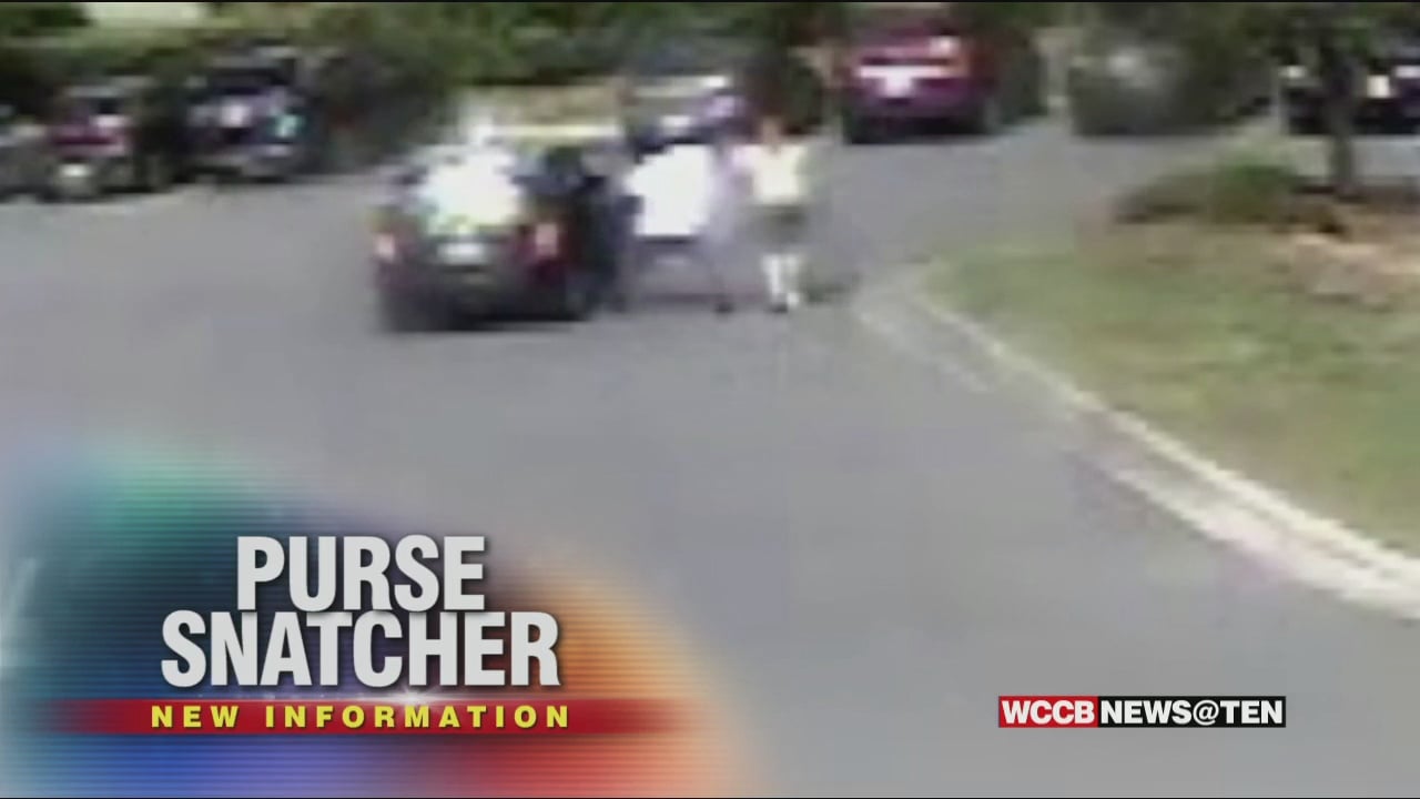 Caught On Camera: Thief Snatches Woman's Purse In Store Parking Lot ...