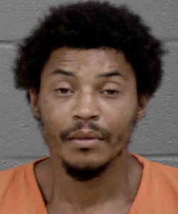 Maurice Paige 2 Counts Assault Government Official Or Employee Break Or Enter A Motor Vehicle Injury To Personal Property