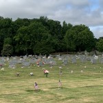 Img 0831