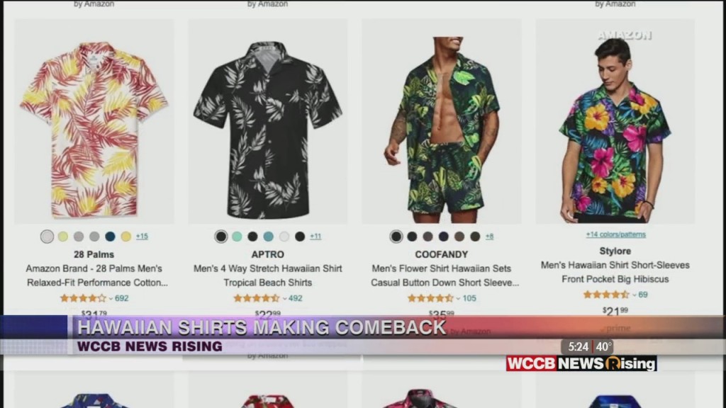 Stylore Men's Hawaiian Shirt Short-sleeves Front Pocket Big Hibiscus