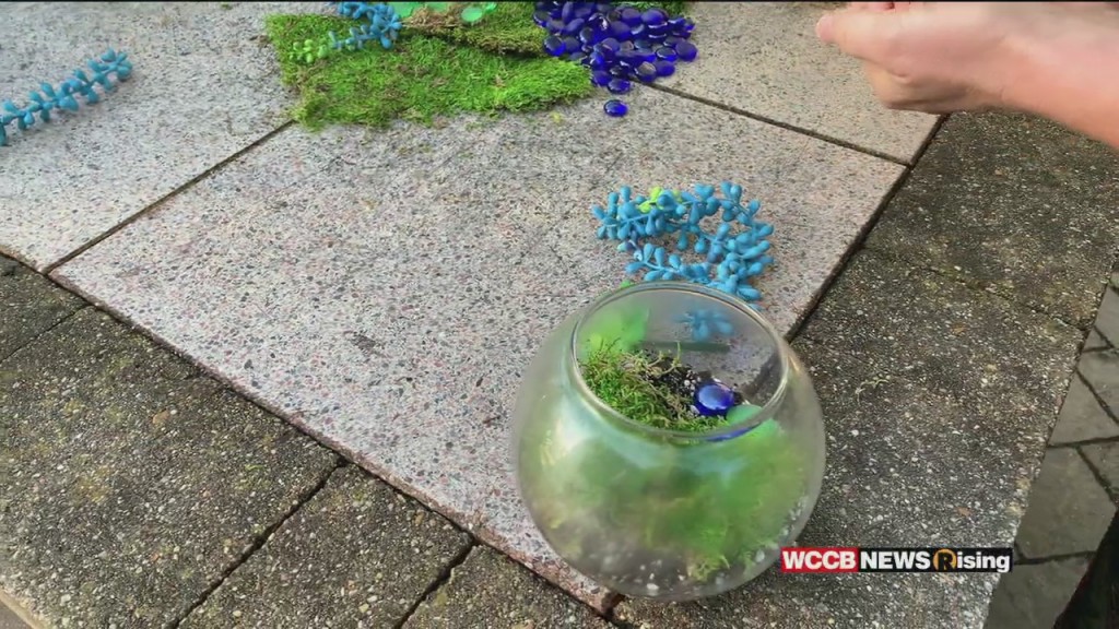 Fairy Garden Terrariums