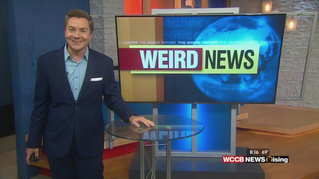 The Snark: Bachelorette Premiere, Unpaid Life Coach, Favre & Wendy Williams