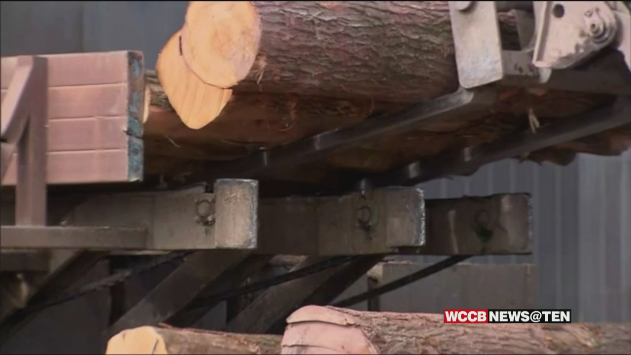 As Lumber Prices Fall From All Time Highs, Supply Remains Low And Expensive WCCB Charlotte's CW