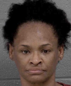Tameka Johnson 2 Counts Of Dv Protective Order Violation Misdemeanor Breaking Or Entering Misdemeanor