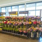 Lidl Floral