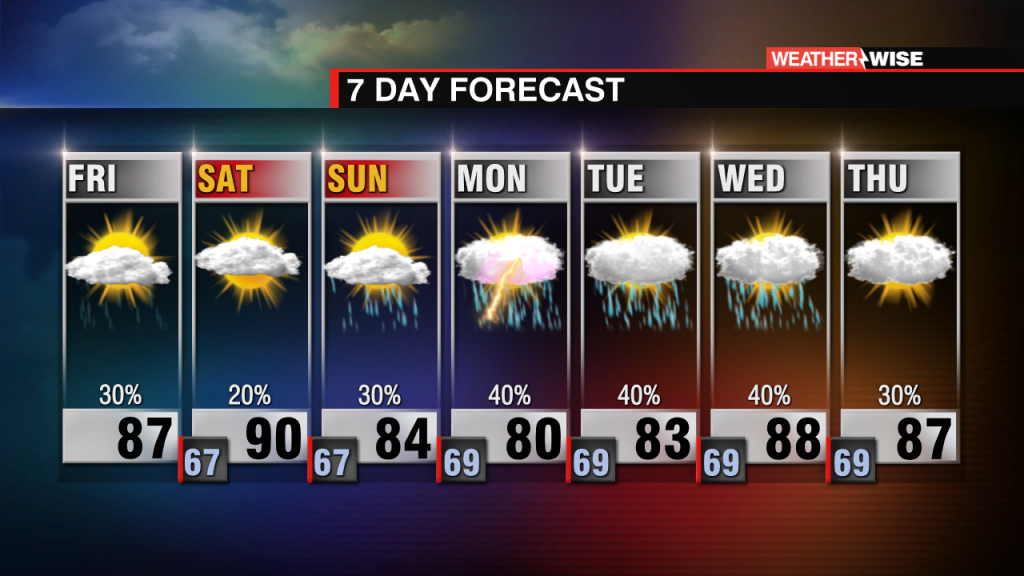 7 Day Am