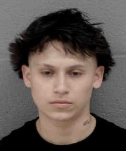 William Alfaro Reckless Driving Wanton Disregard Speeding