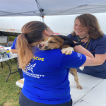 Gaston County Dog Fighting Ring Pic 2