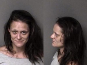 Brittney Eller Motor Vehicle Larceny