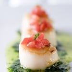 Scallops With Parsley Pesto, Tomatoes And Thyme.