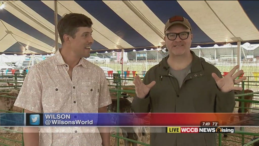 Wilson's World: Charlotte Fair