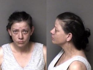 Kimberly Hefner Financial Card Theft Obtaining Property Under False Pretenses