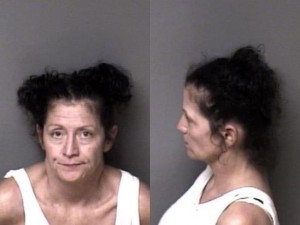 Lesa Haynes Failure To Appear