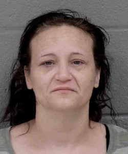 Summer Buckner 4 Counts Of Breaking And Or Entering Felony First Degree Trespass Enter Or Remain Larceny After Break Or Enter