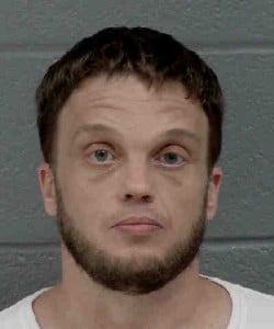 Taylor Mcafee Dwlr Impaired Rev Obtain Property False Pretense Public Order