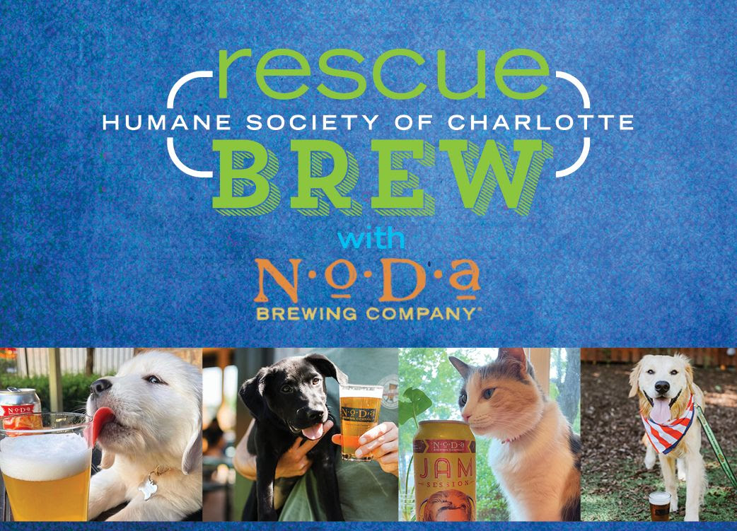 Humane Society Of Charlotte Kicks Off Fundraiser To Feature Local