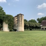 Img 1176