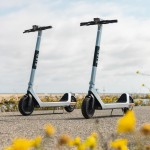 Birdthree 7