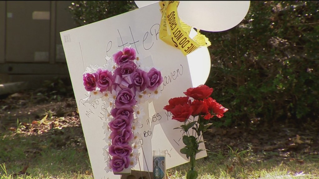 Monroe Plans To Fight Violence