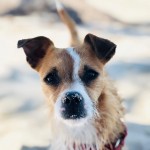 Zoey