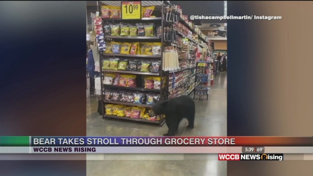 Bear Strolls Through Los Angeles Grocery Store