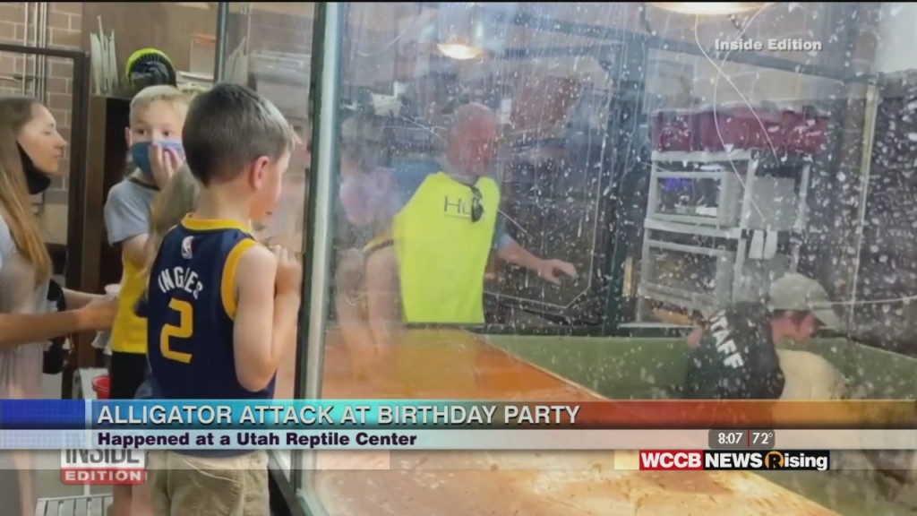 Alligator Attacks Handler At Birthday Party