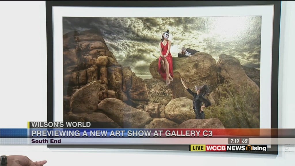 Wilson's World: New Art Show At Gallery C3