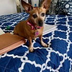 Lucy Lou